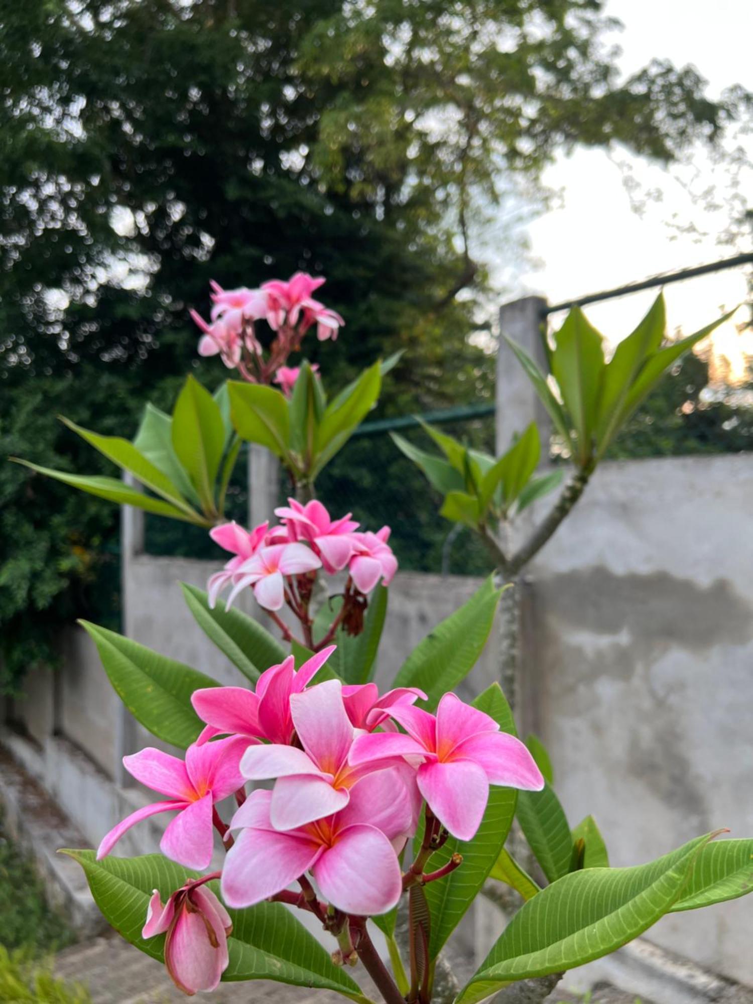 Kapaliya Unawatuna Esterno foto