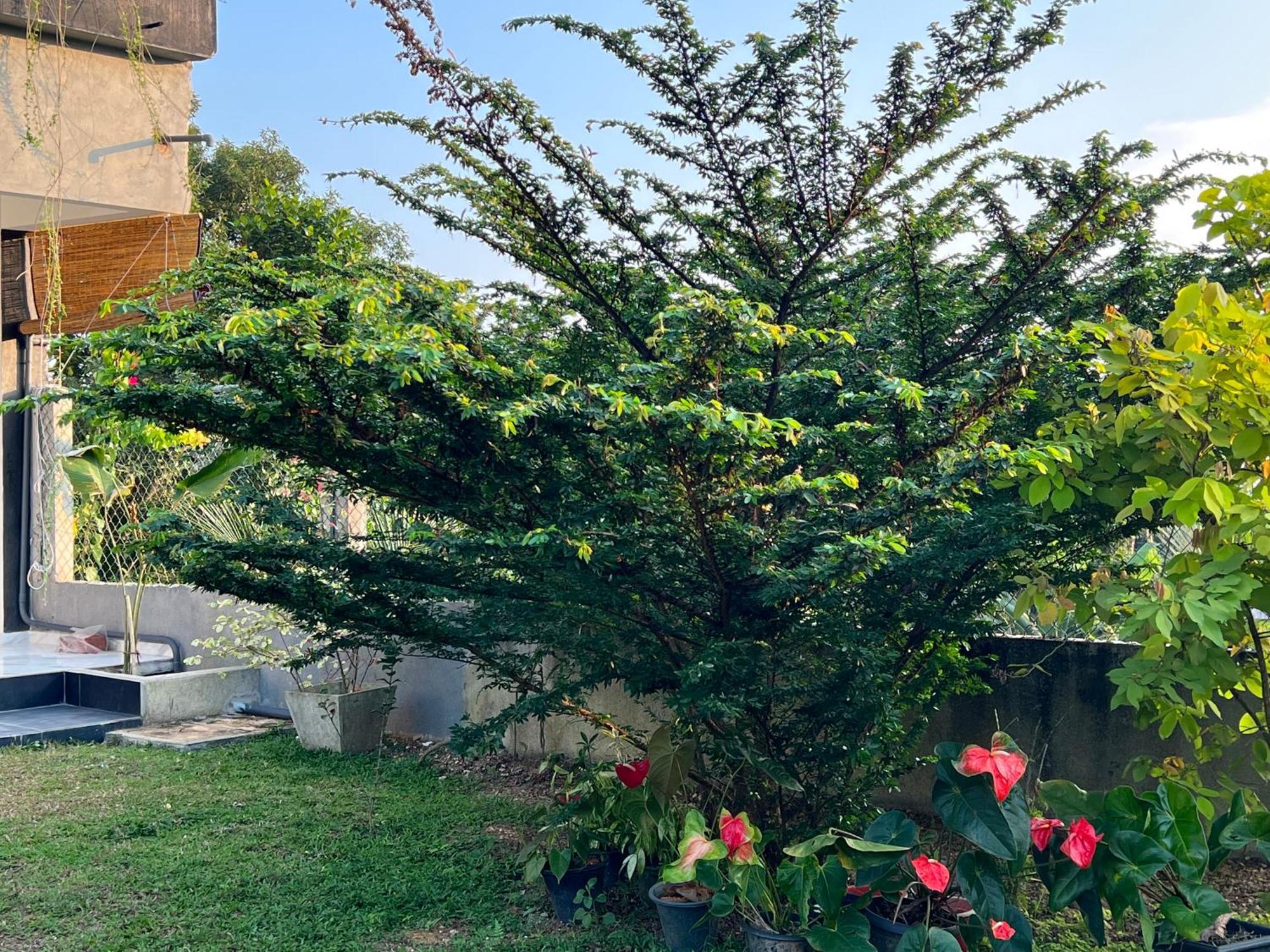 Kapaliya Unawatuna Esterno foto